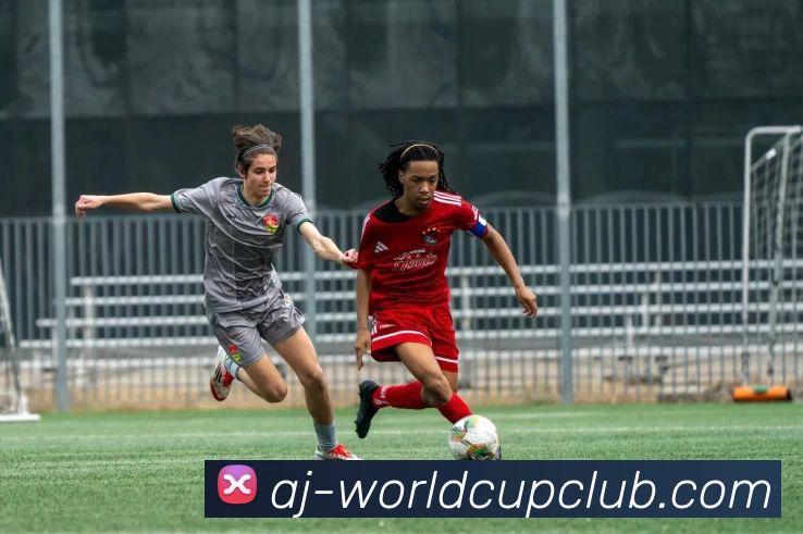 世界杯规则平台生态图